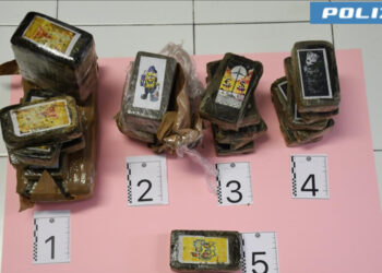 Alessandria, la polizia sequestra 3,5 chilogrammi di hashish