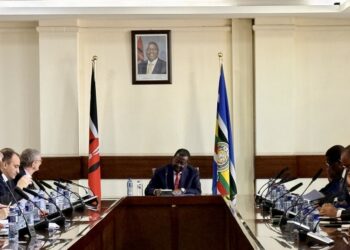 Lo Russo in Kenya, opportunità per i servizi pubblici locali