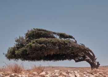 Liquida Photofestival, a Moncalieri giovani talenti fotografia contemporanea