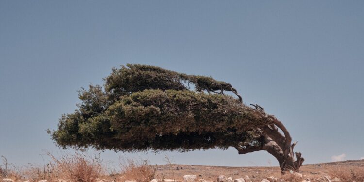 Liquida Photofestival, a Moncalieri giovani talenti fotografia contemporanea