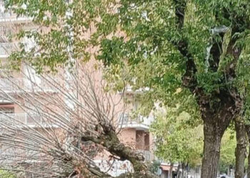 Nubifragi in Piemonte, si estende l’allerta gialla