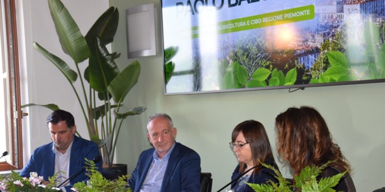 Greenup, il Piemonte vuole mettere in campo le città di domani